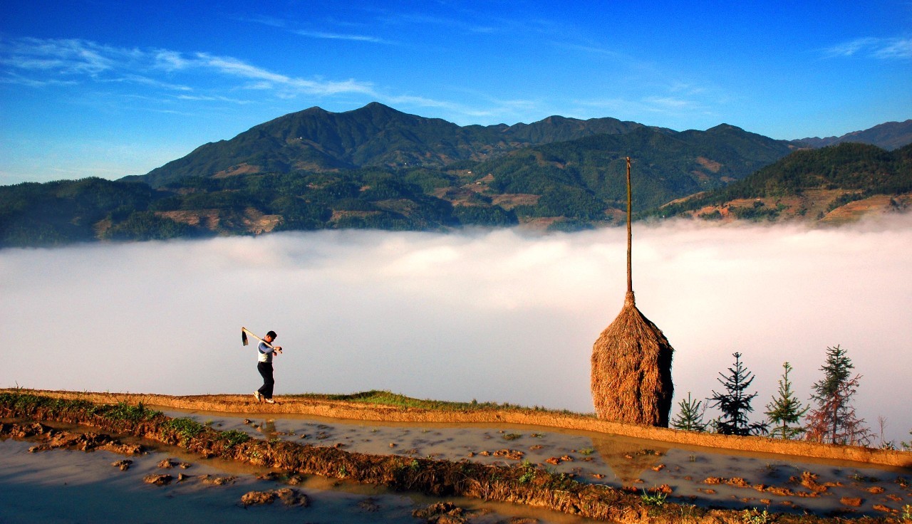 全域旅游最新趋势，探索与实践的新时代