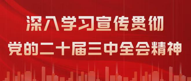 建阳最新招工动态及就业前景展望，就业机会与未来发展概览